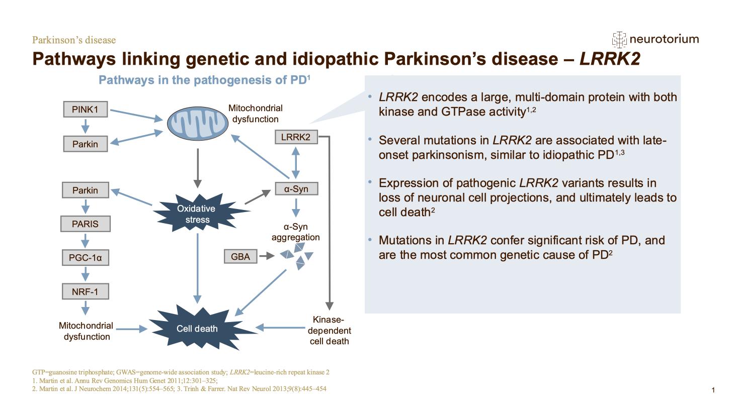 Parkinsons Disease – Neurobiology and Aetiology – slide 32